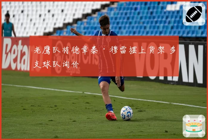 老鹰队将德章泰·穆雷摆上货架 多支球队询价